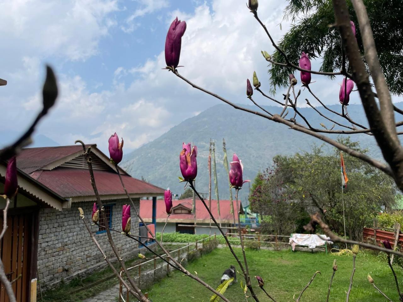 Daragaon Retreat Apartman Pelling Kültér fotó