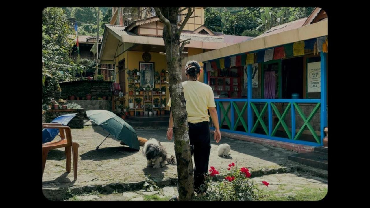 Daragaon Retreat Apartman Pelling Kültér fotó